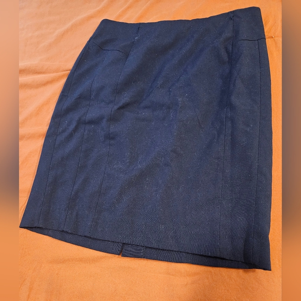 Navy Skirt